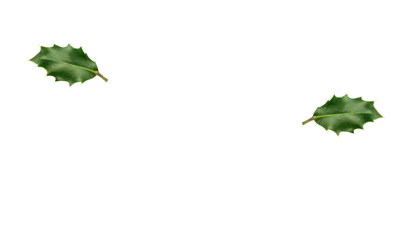 Le4mains Massage Toulouse (14)