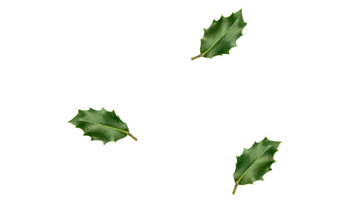 Le4mains Massage Toulouse (4)